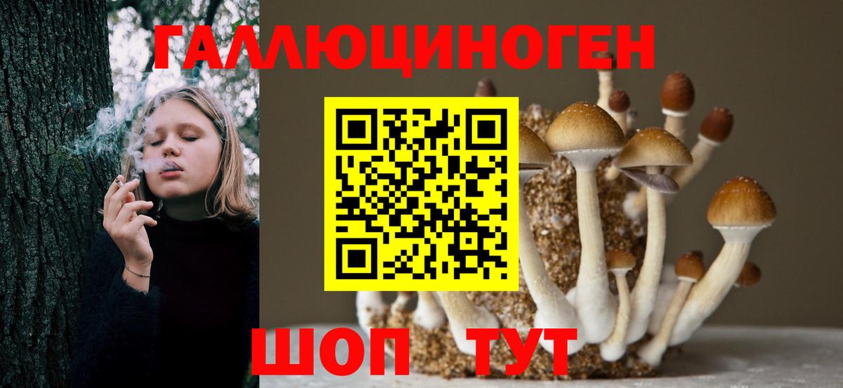 Псилоцибиновые грибы мицелий  Вход с VPN  Галлюциногенные грибы MAGIC MUSHROOMS  Новосибирск 